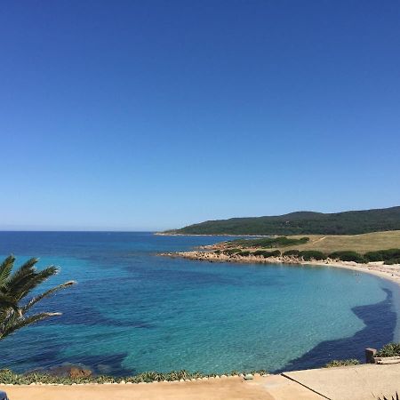 Ajaccio Magnifique T2 45M2 Neuf 5 Personnes Clim Wifi Stationnement Gratuit Centre Ville Plage A 300M Εξωτερικό φωτογραφία